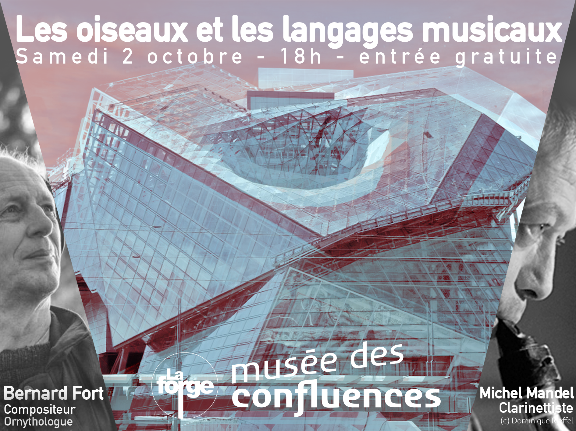 Conférence oiseaux Confluence web